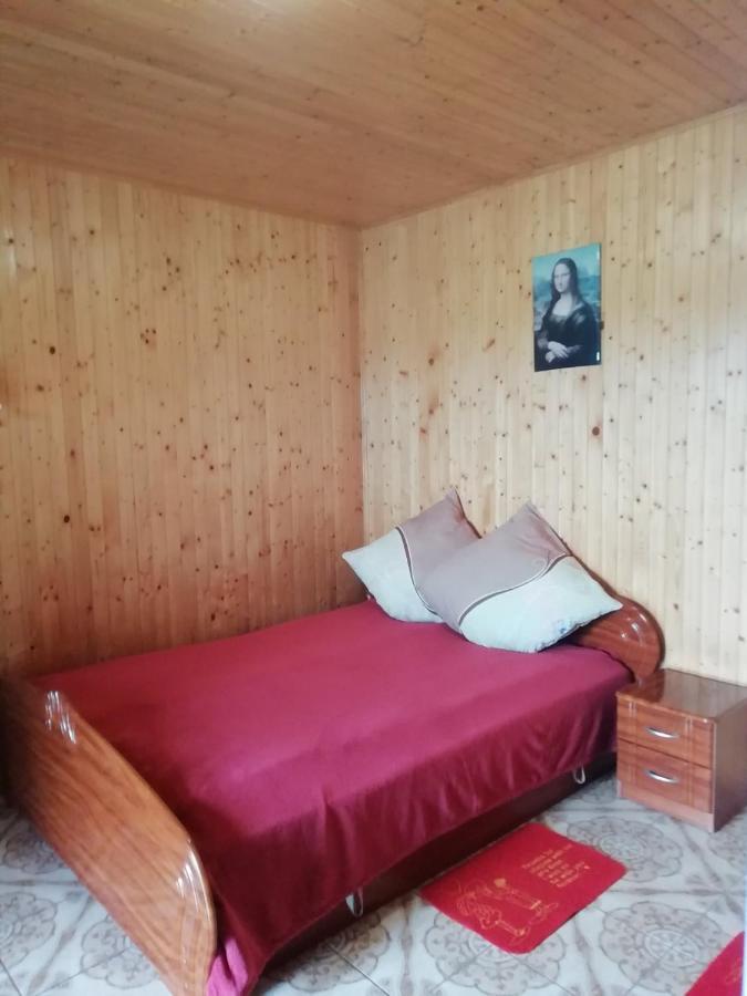 Білий Лебідь Pulemets Luaran gambar