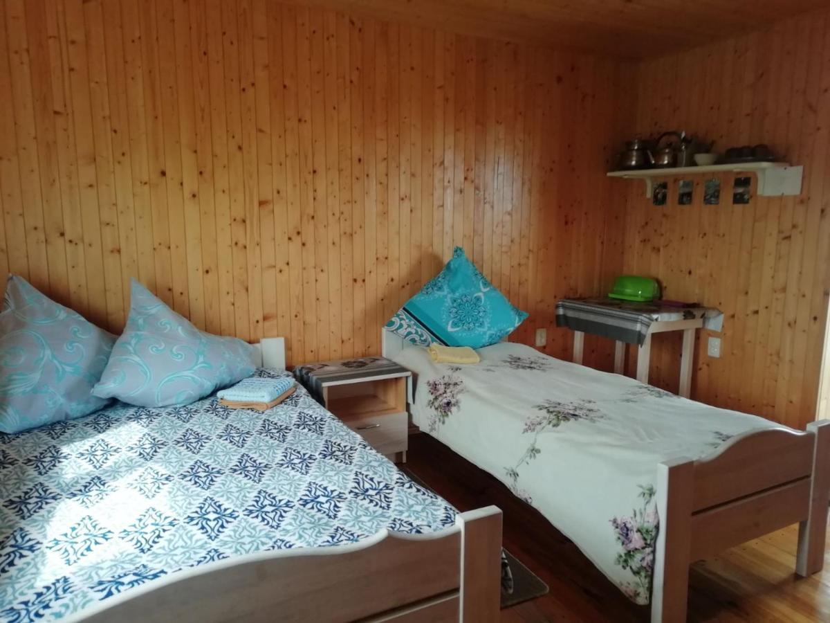 Білий Лебідь Pulemets Luaran gambar